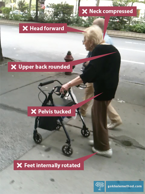 Photo of stooped elderly lady using her walker